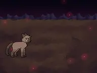 Westpaw's Dream cover